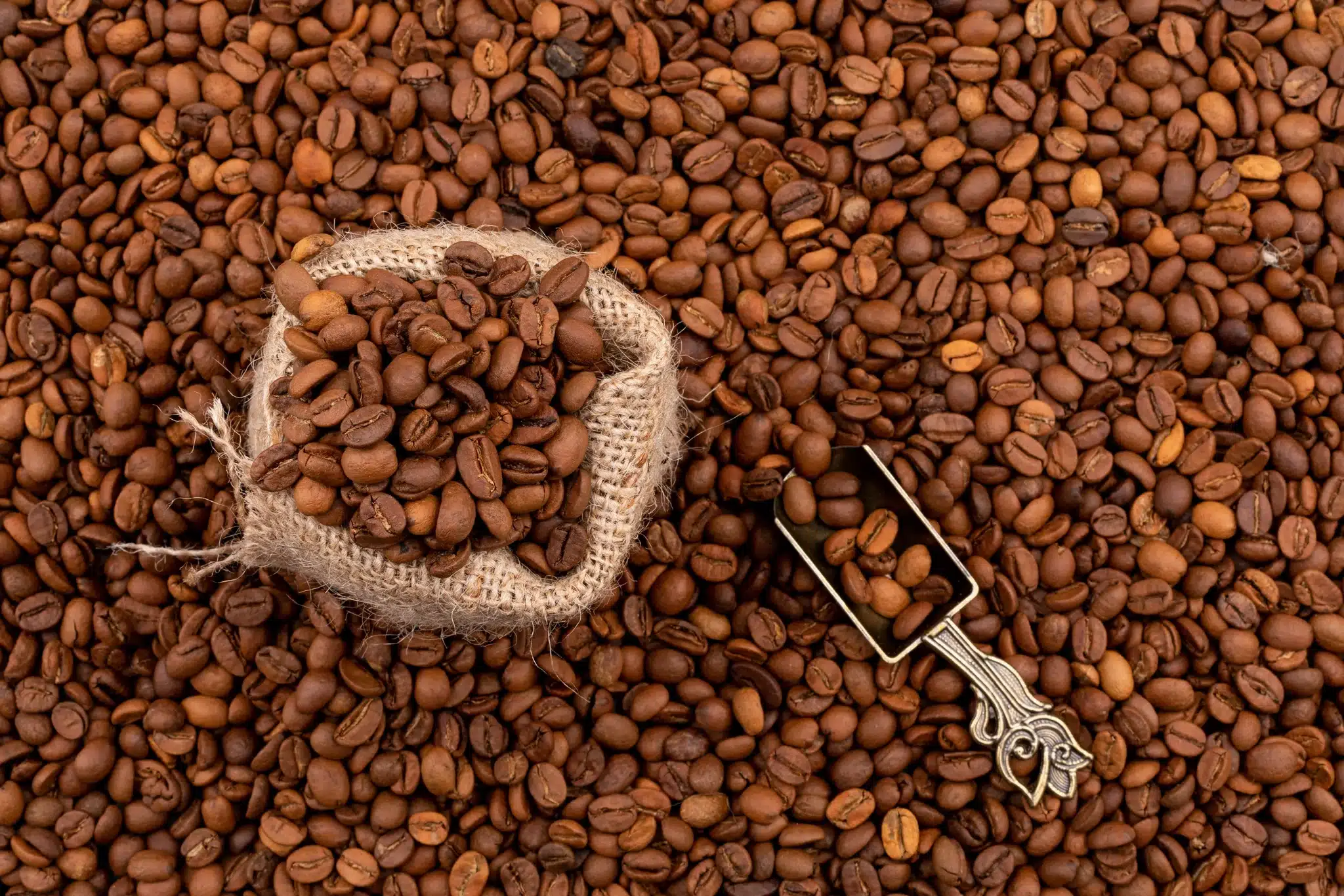 torréfaction du café