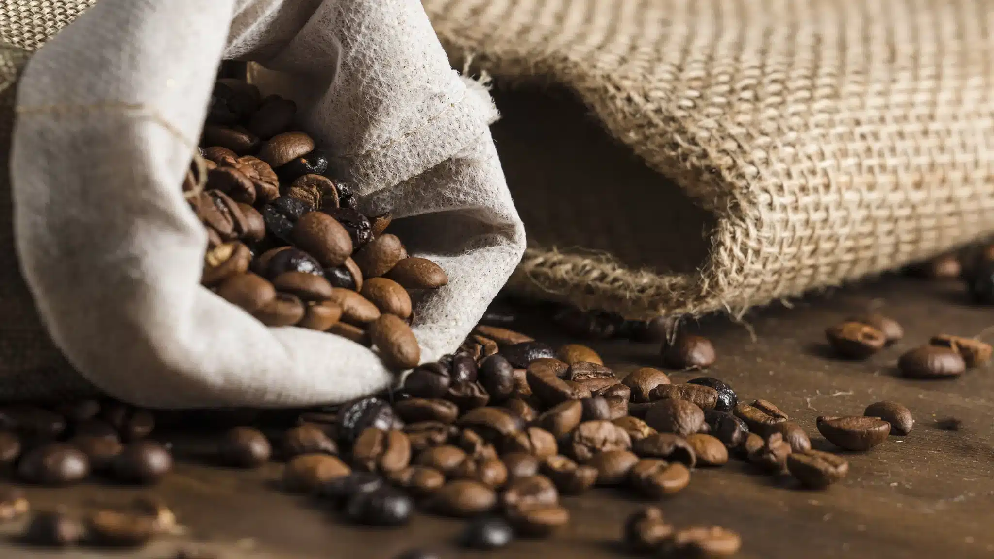 intégrer un espace torréfaction dans son coffee shop